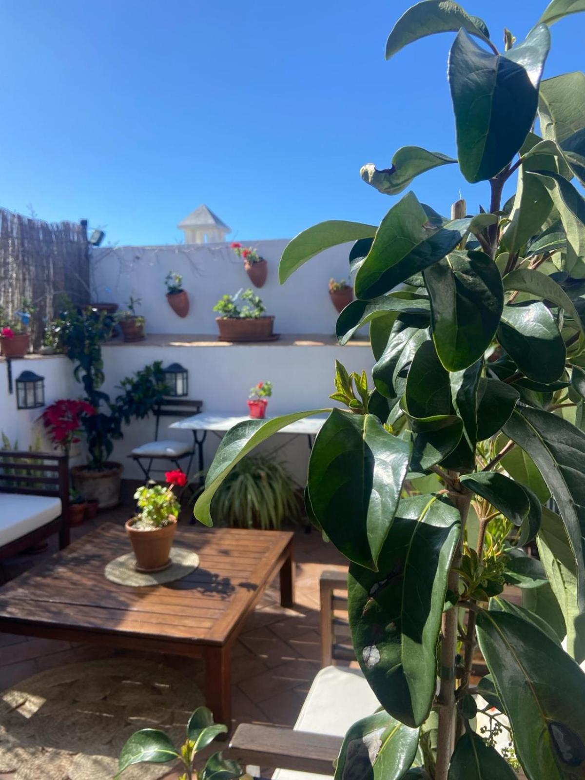 La Gitanilla Alojamiento & Encanto Jerez 헤레스 외부 사진